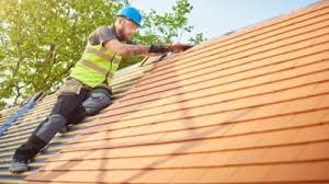 Best Roof Maintenance and Cleaning  in Ware Shoals, SC