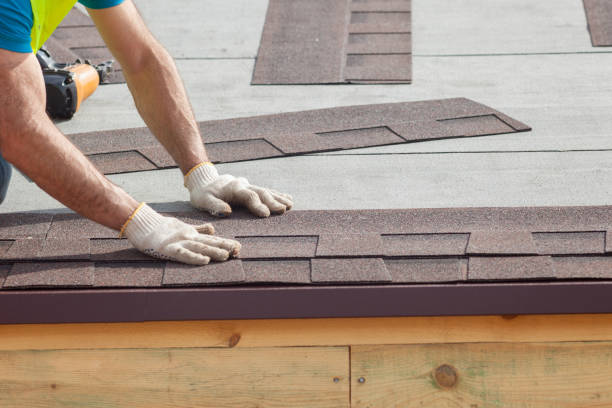 Best Roof Insulation Installation  in Ware Shoals, SC